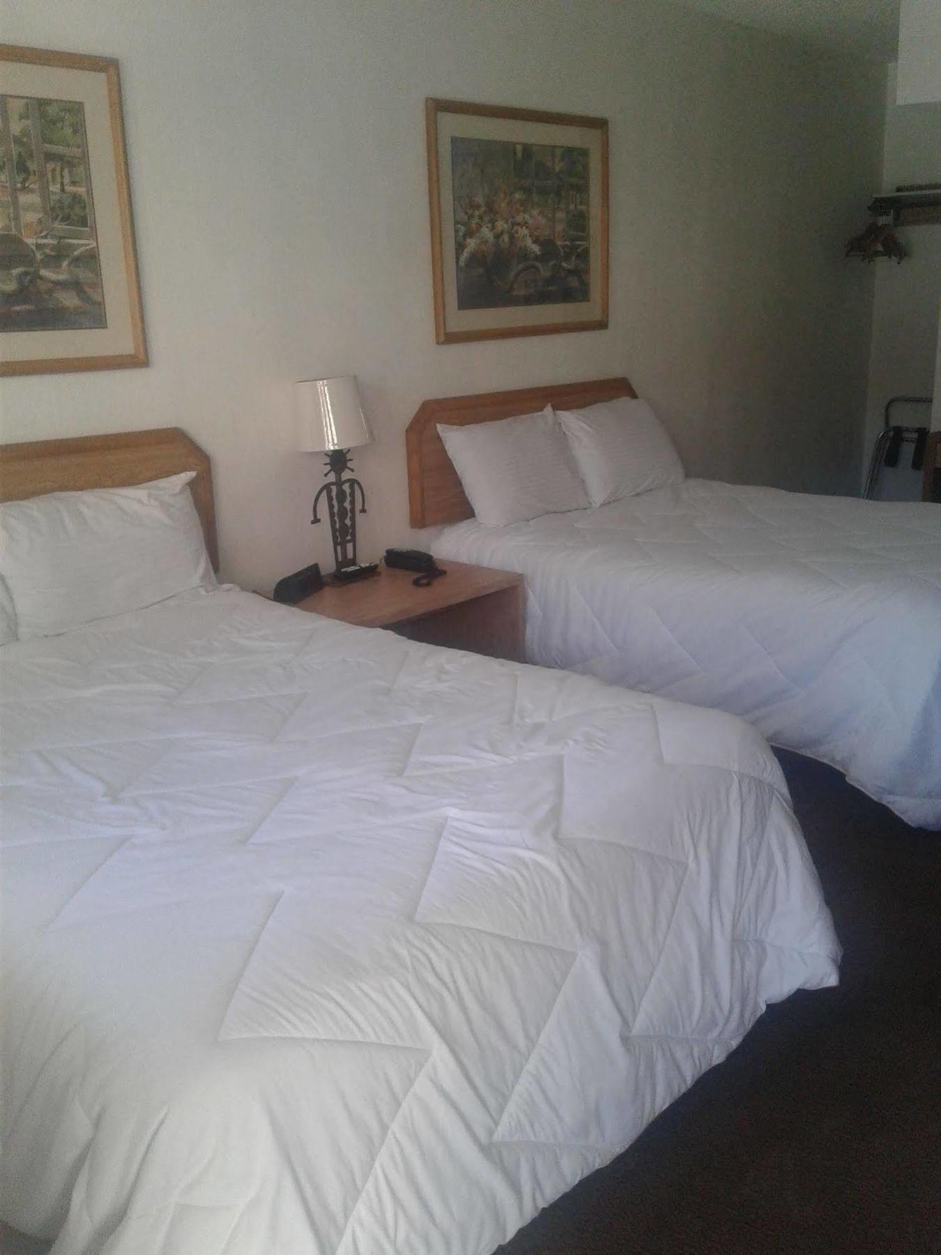 Desert Rose Inn Reno Eksteriør billede